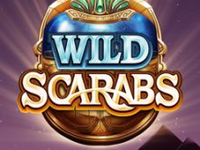 Wild Scarabs